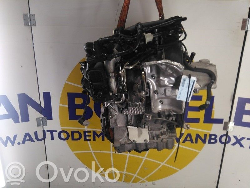 Motor