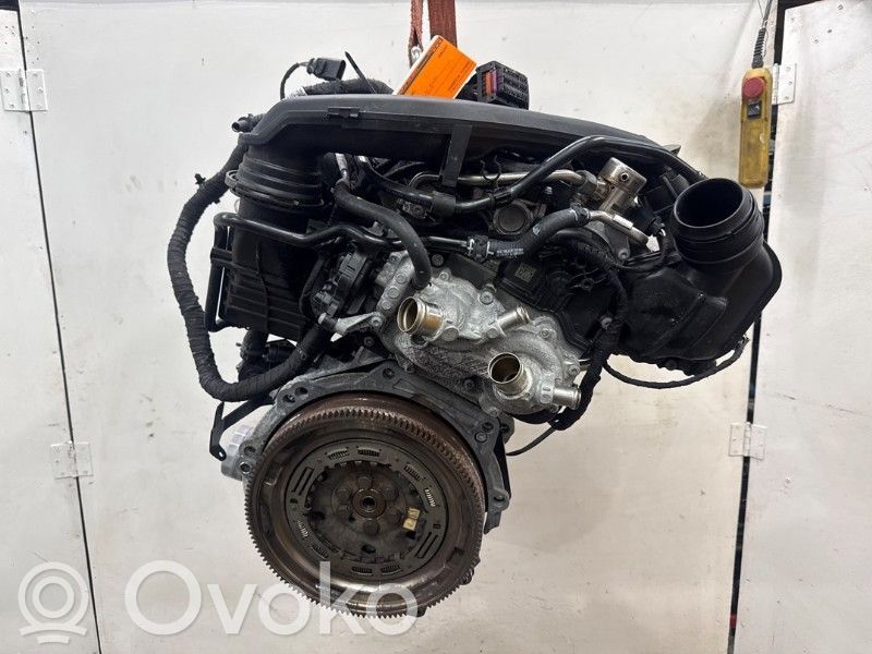 Volkswagen Golf VIII Variklis 