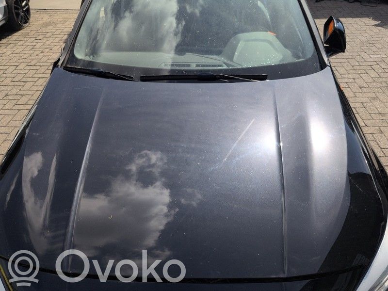 BMW 1 F40 Pokrywa przednia / Maska silnika 