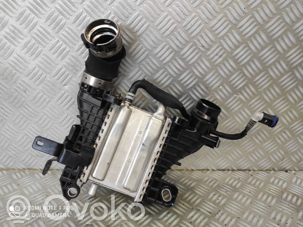 Renault Megane IV Starpdzesētāja radiators 