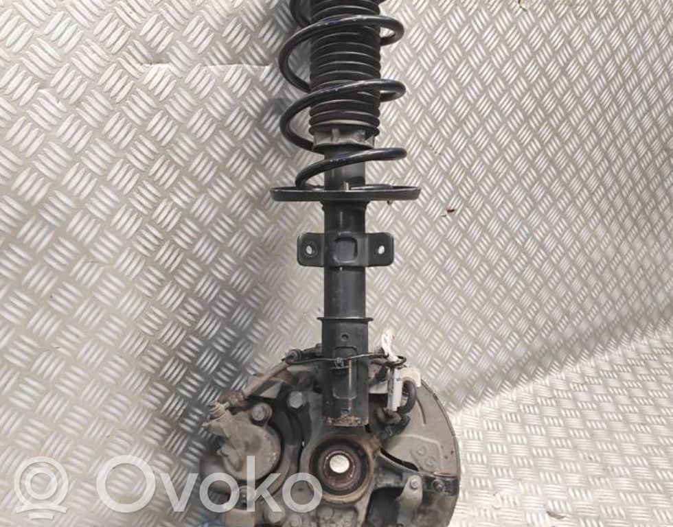 Stoßdämpfer vorne   9836057980,0301100100