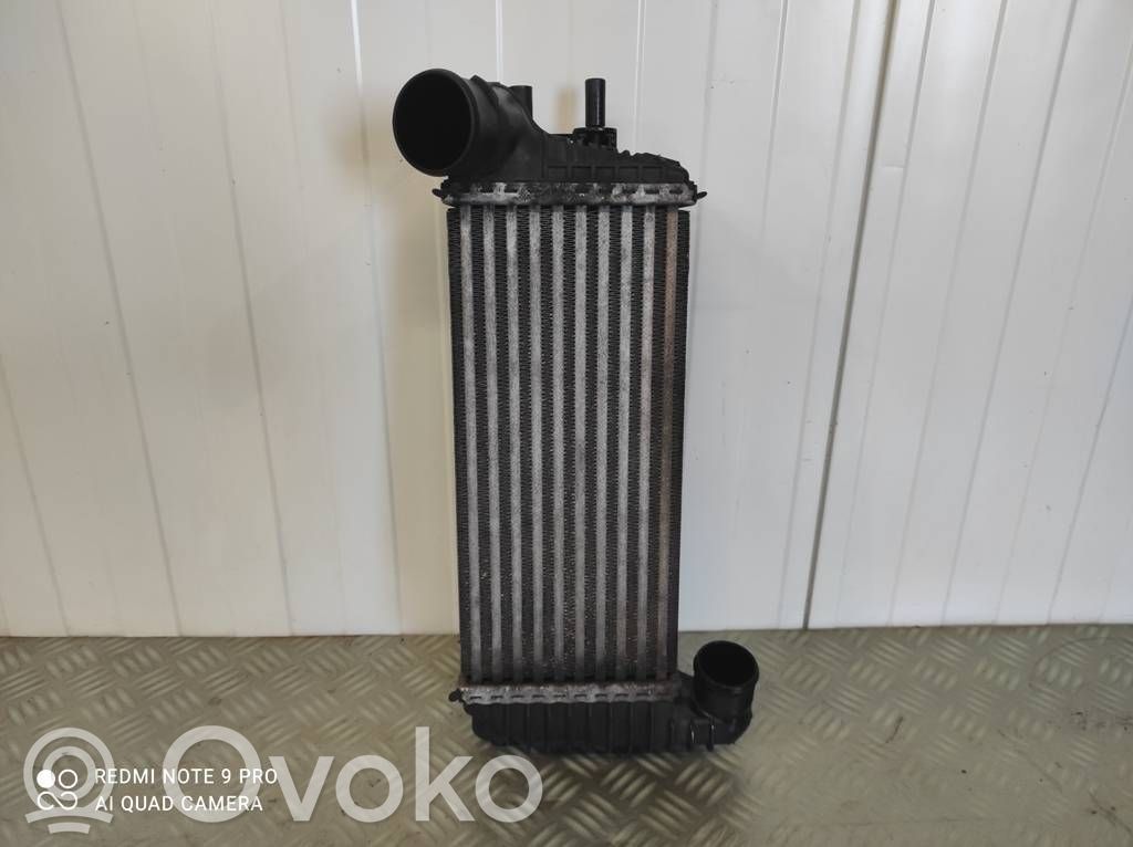 Ford Transit -  Tourneo Connect Radiator intercooler 