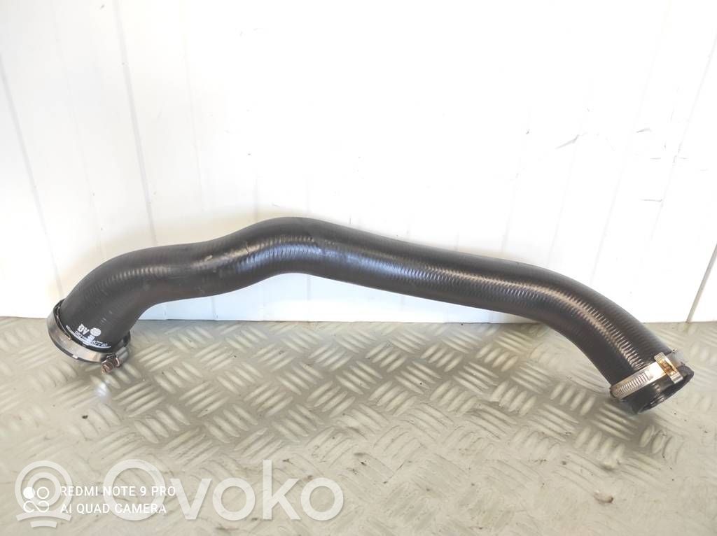 Peugeot Expert Interkūlera šļūtene (-es) / caurule (-es) 