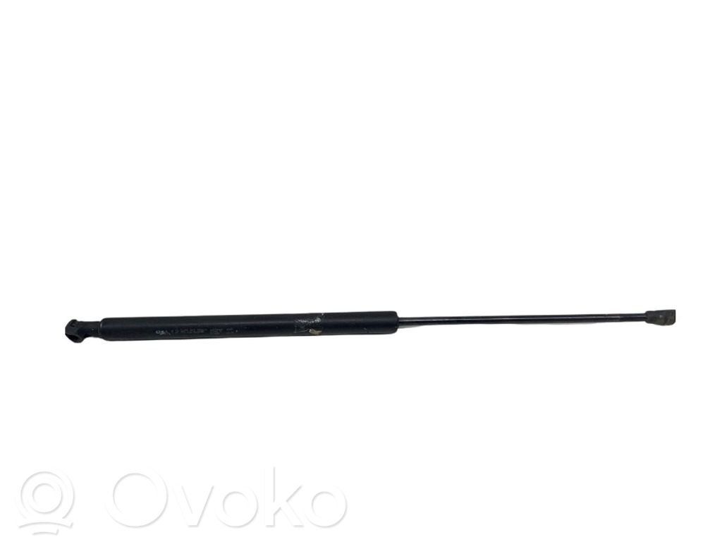 Tailgate strut   9850780480