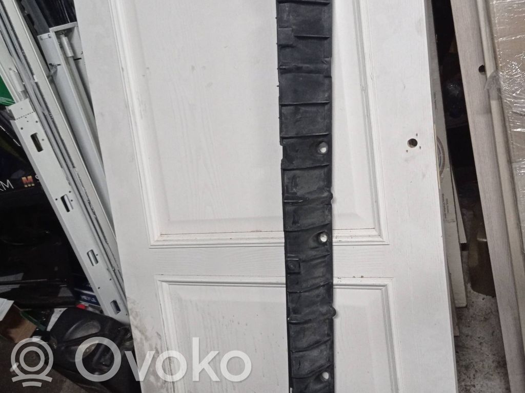 BMW X5 E70 Ślizg listwy progowej 