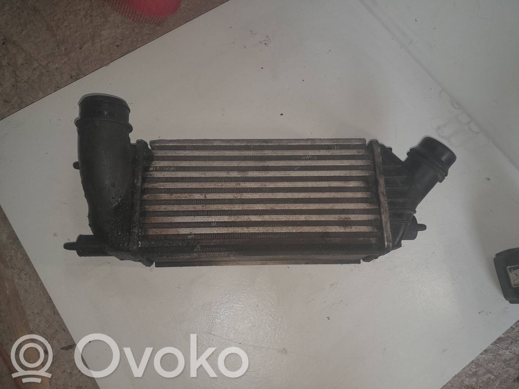 Citroen Jumpy Interkūlerio radiatorius 