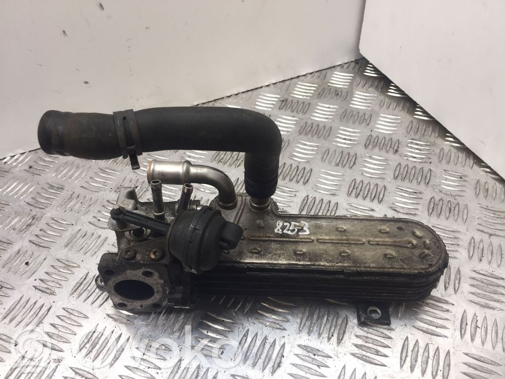 Volkswagen PASSAT B6 EGR vožtuvas 