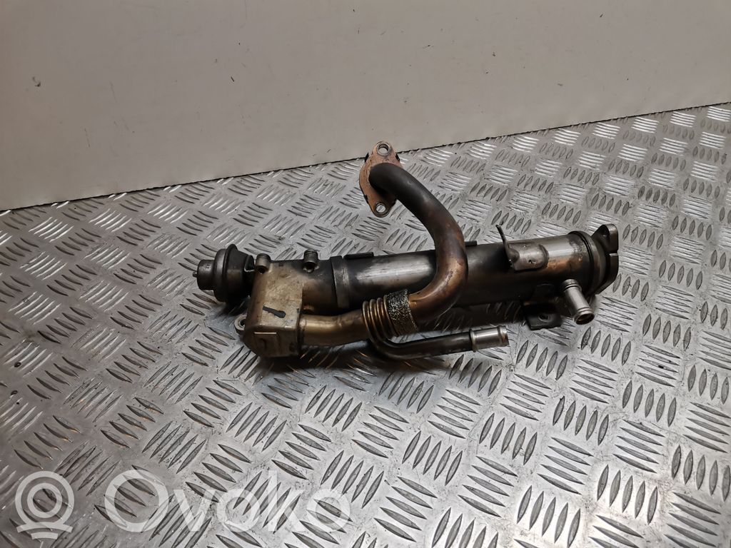 Audi A4 S4 B8 8K EGR aušintuvas 