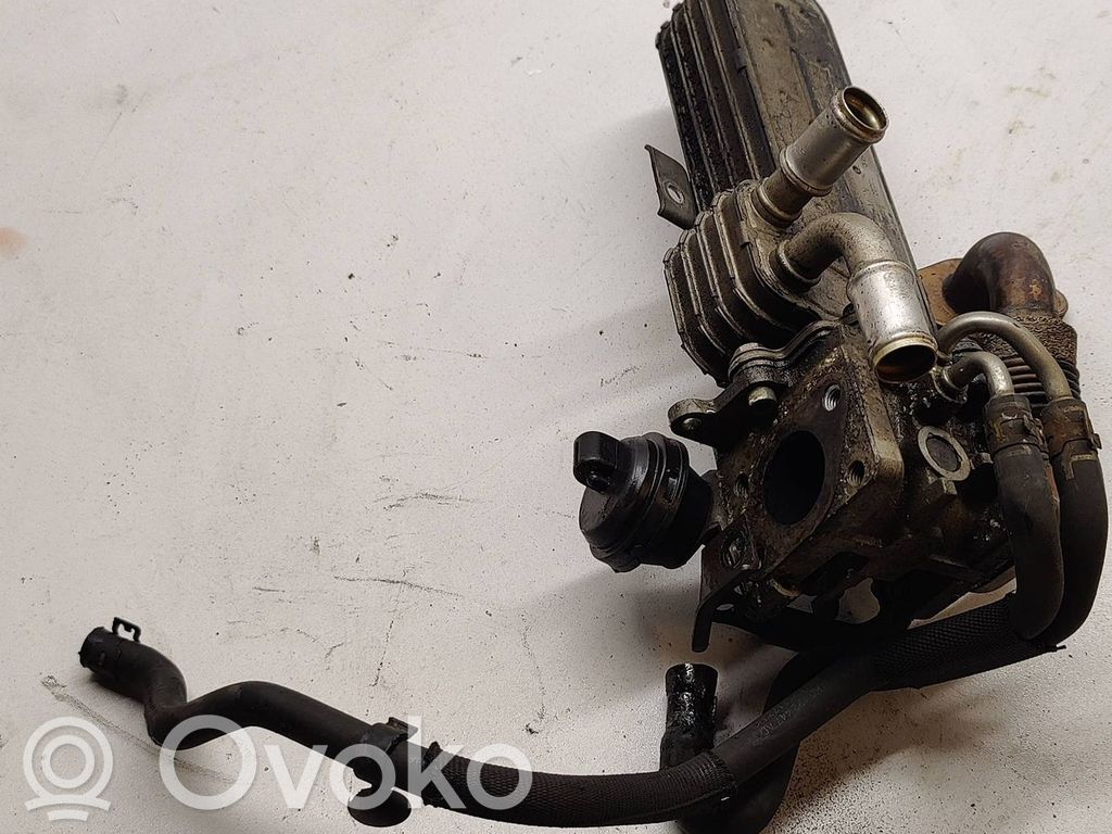 Audi A4 S4 B6 8E 8H Refrigerador de la válvula EGR 