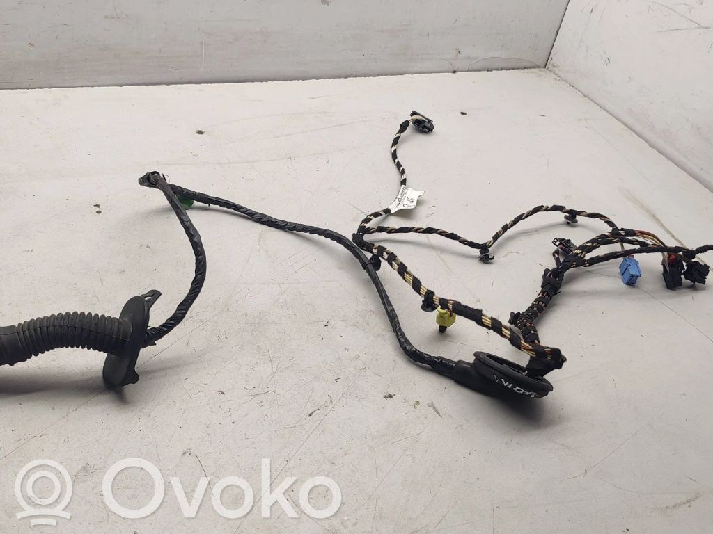 Volkswagen PASSAT B8 Wiązka przewodów drzwi przednich 