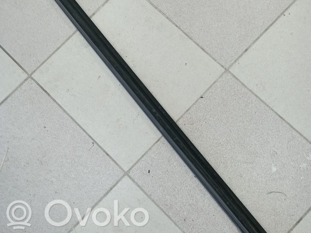 Durų stiklo apdaila   501343791A