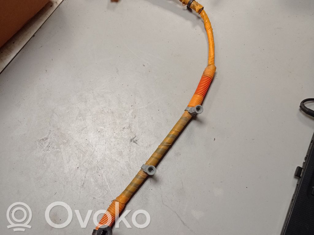 Chrysler Pacifica Other wiring loom 