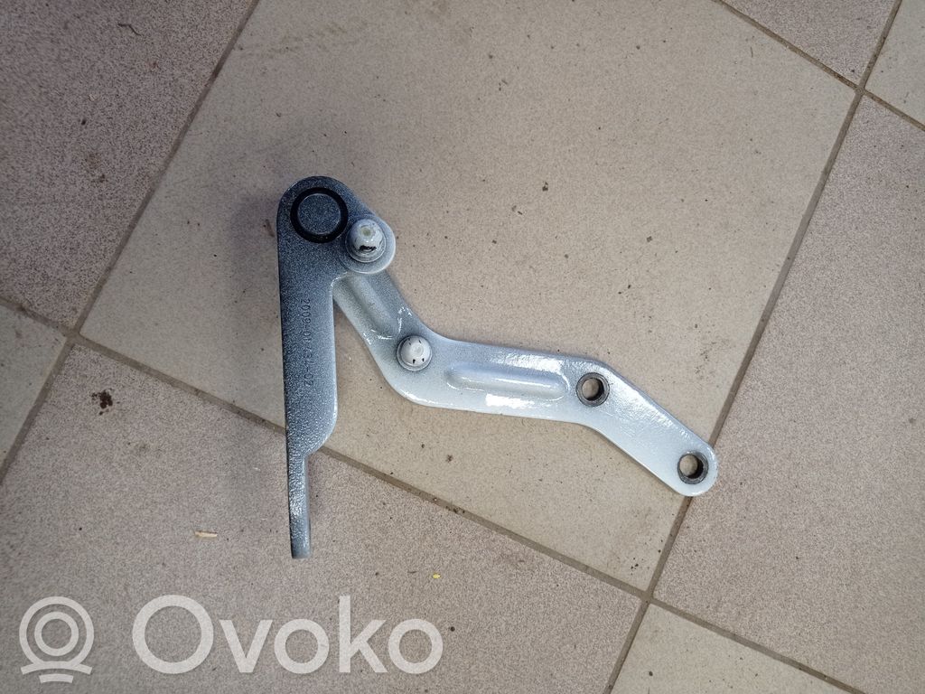 Tesla Model X Rear door hinge set 