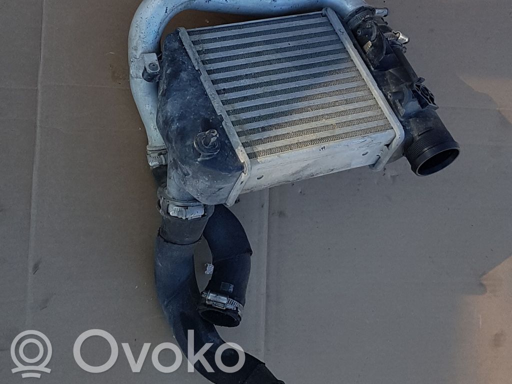 Interkūlerio radiatorius   4F0145805E