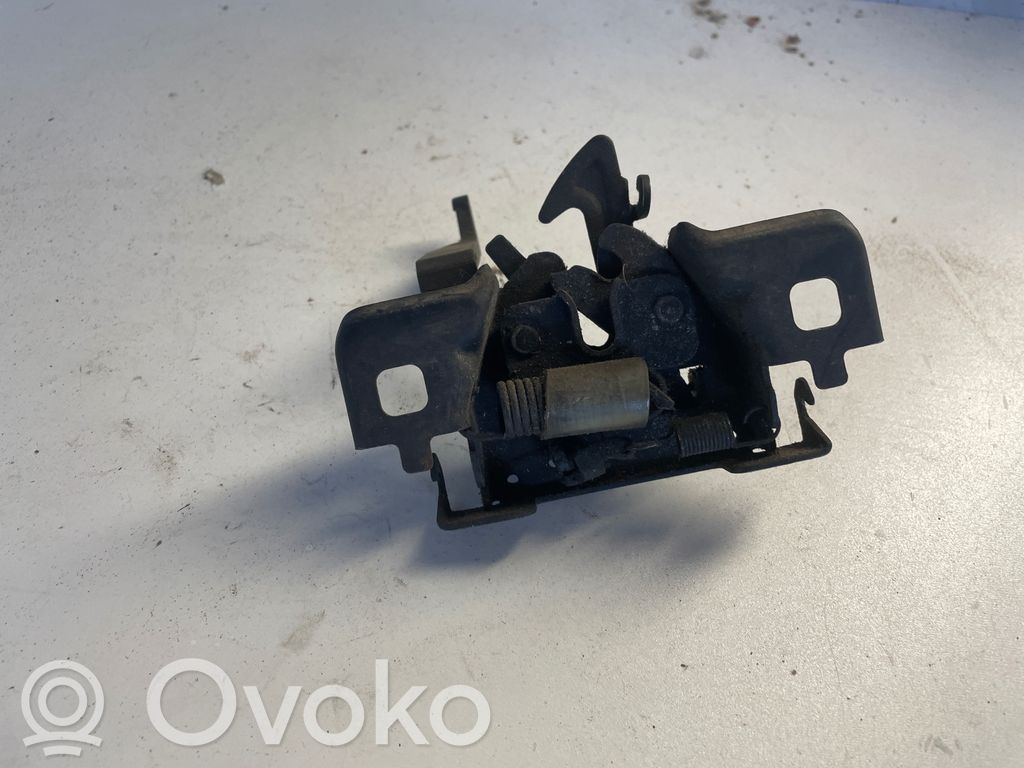 Tie down hook / loop   656017676R,13087