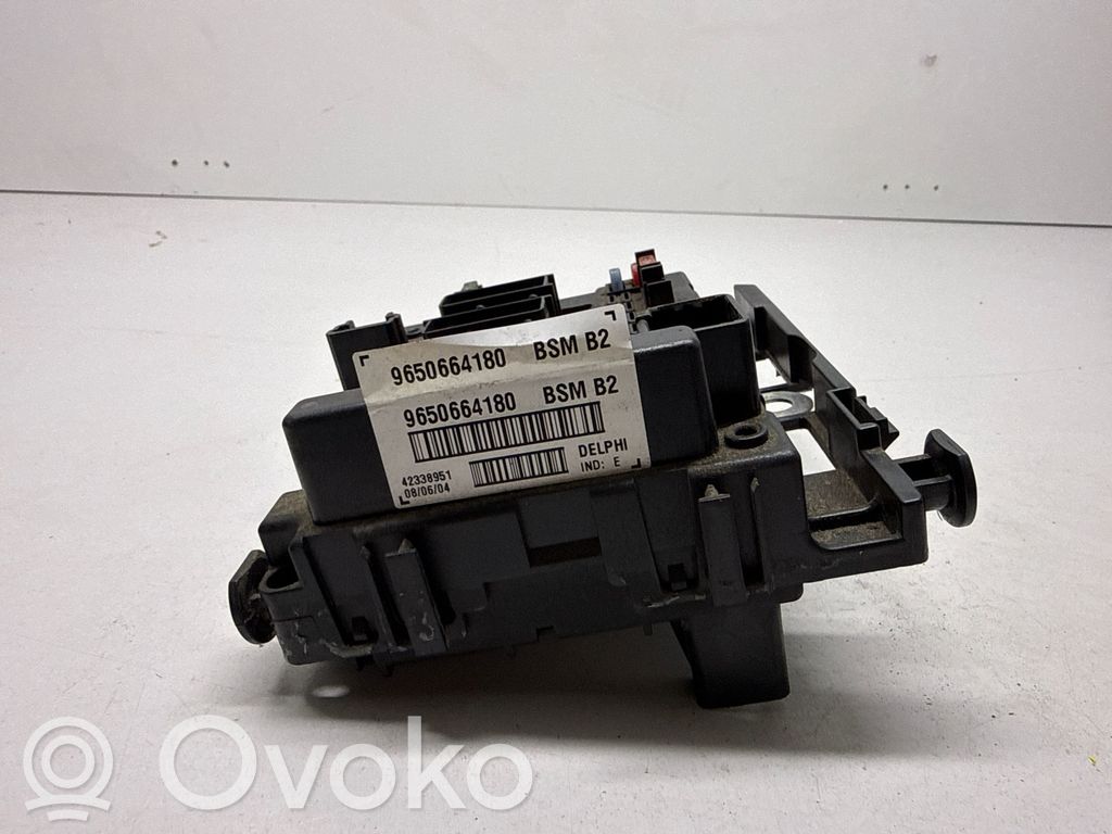 Peugeot 307 Fuse module 
