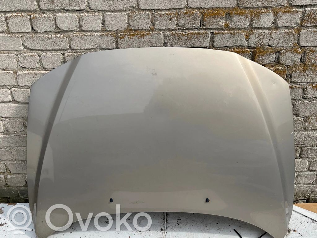 Tailgate/trunk/boot lid   SIDABRINIS