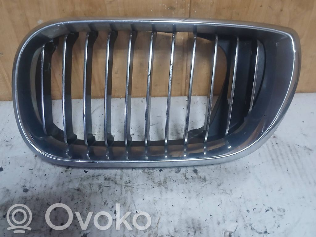 BMW 3 E46 Front grill 
