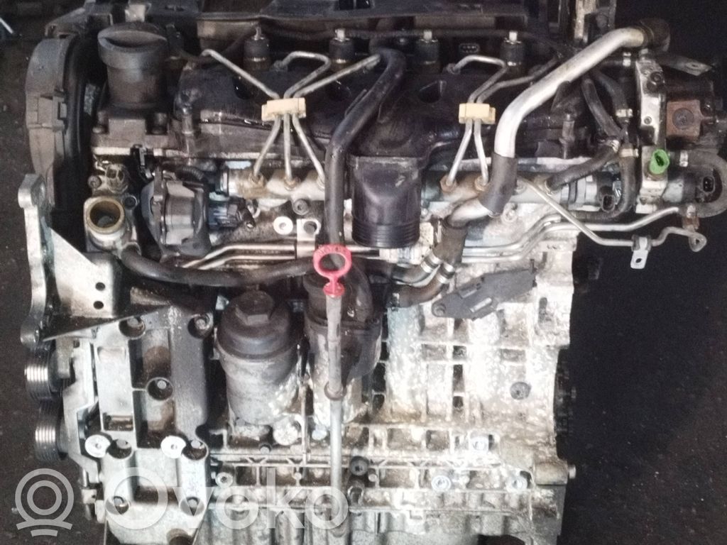 Engine   D5244T,6901083,606609