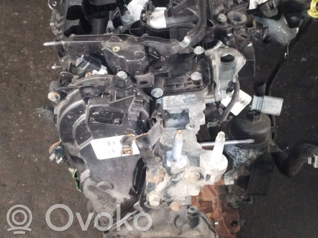 Variklis   AG9Q6007BB,6906241,D4204T