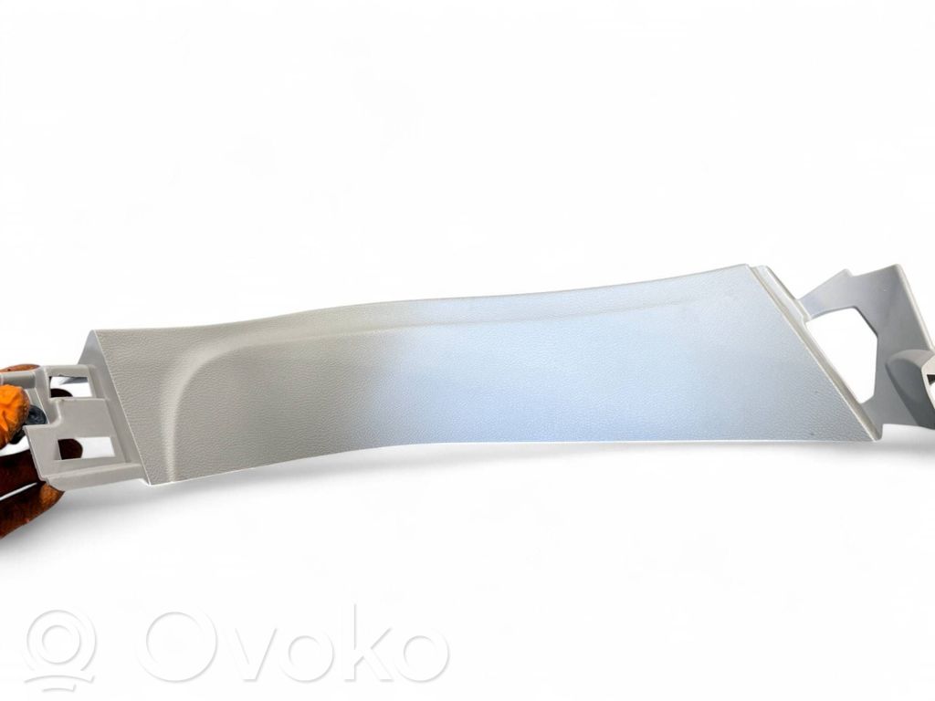 Chrysler Pacifica Tailgate trim 