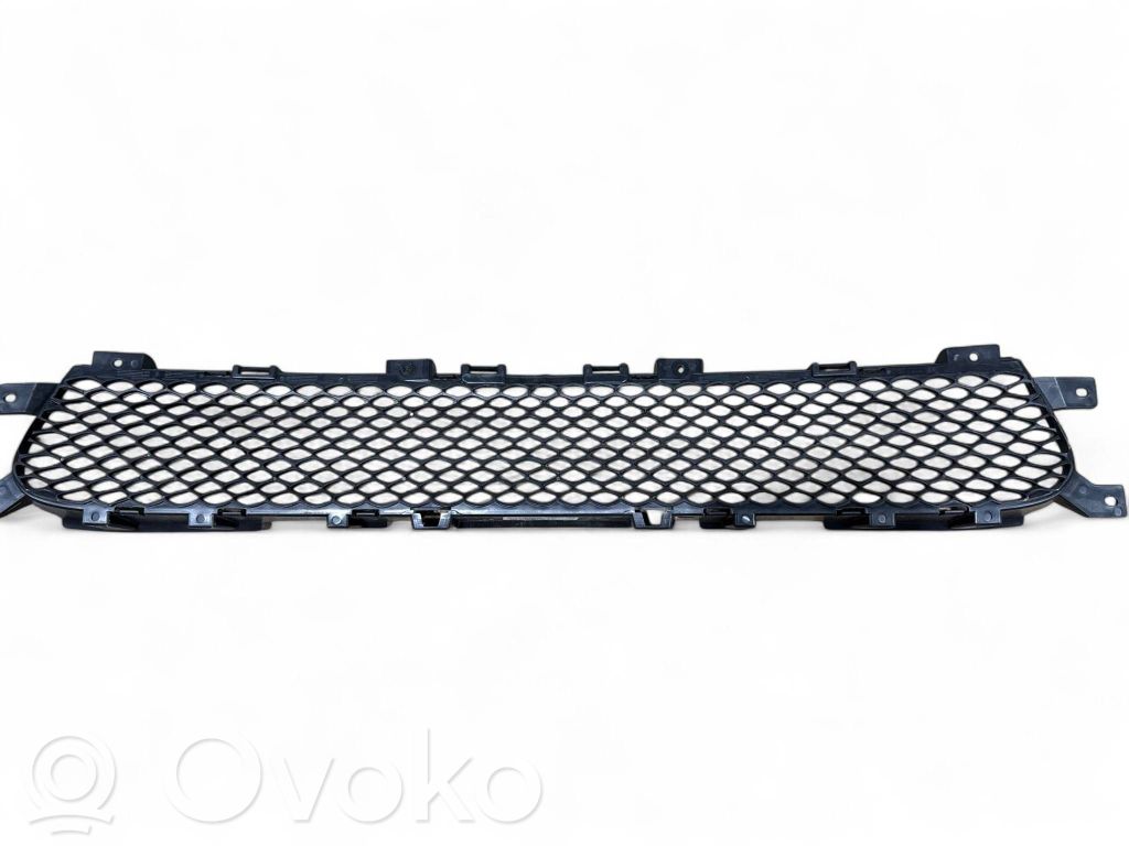 Front bumper lower grill   680617AA,DG3D8252CNN0