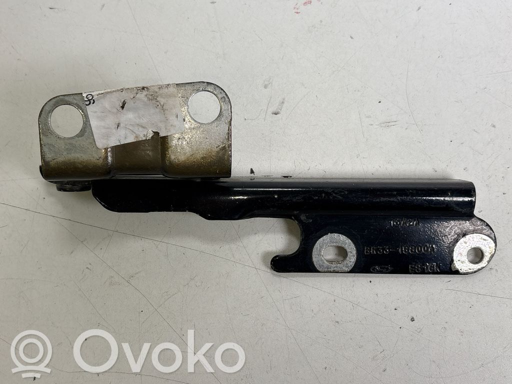 Ford Mustang V Engine bonnet/hood hinges 