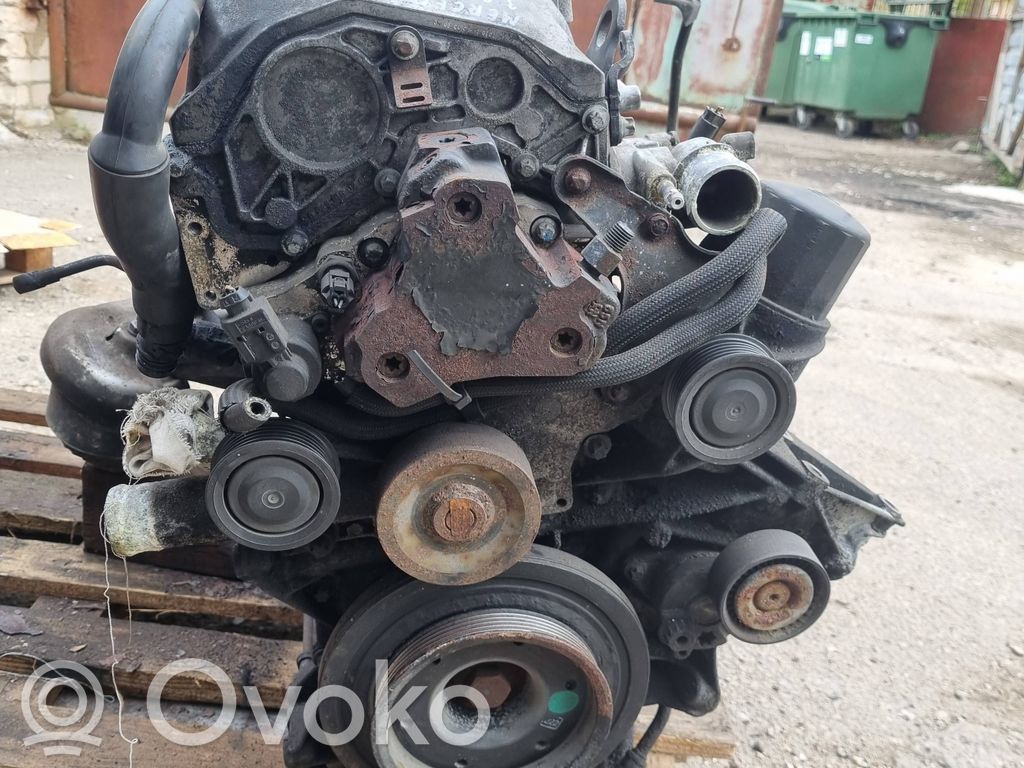 Motor   6130110101
