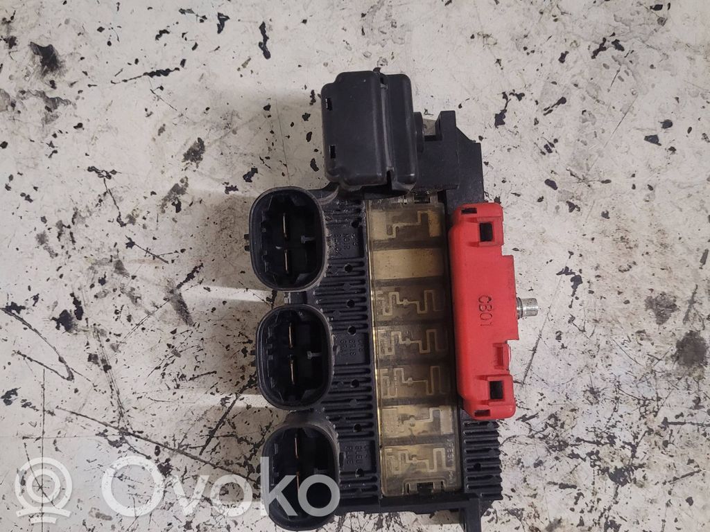 Citroen C6 Positive wiring loom 