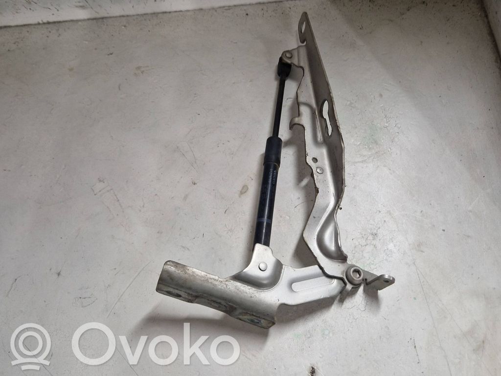 Volvo V60 Dzinēja pārsega eņģe (-es) 