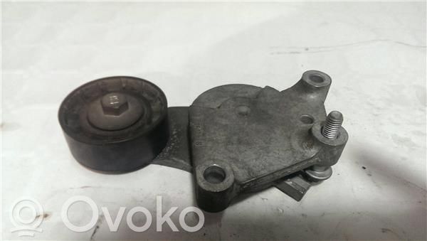Tensor de correa del alternador   846149