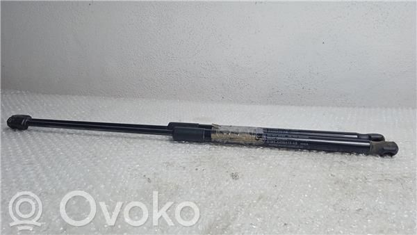 Tailgate/trunk/boot lid buffer