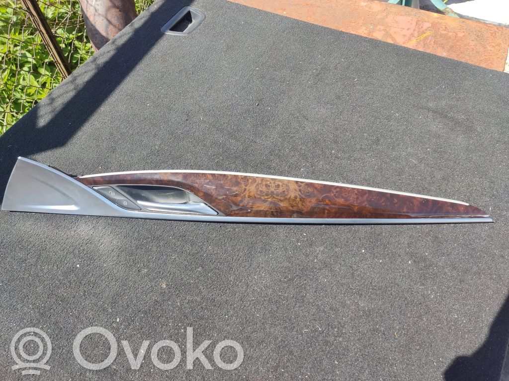 BMW 5 G30 G31 G38 Alte componente panou ușă față 