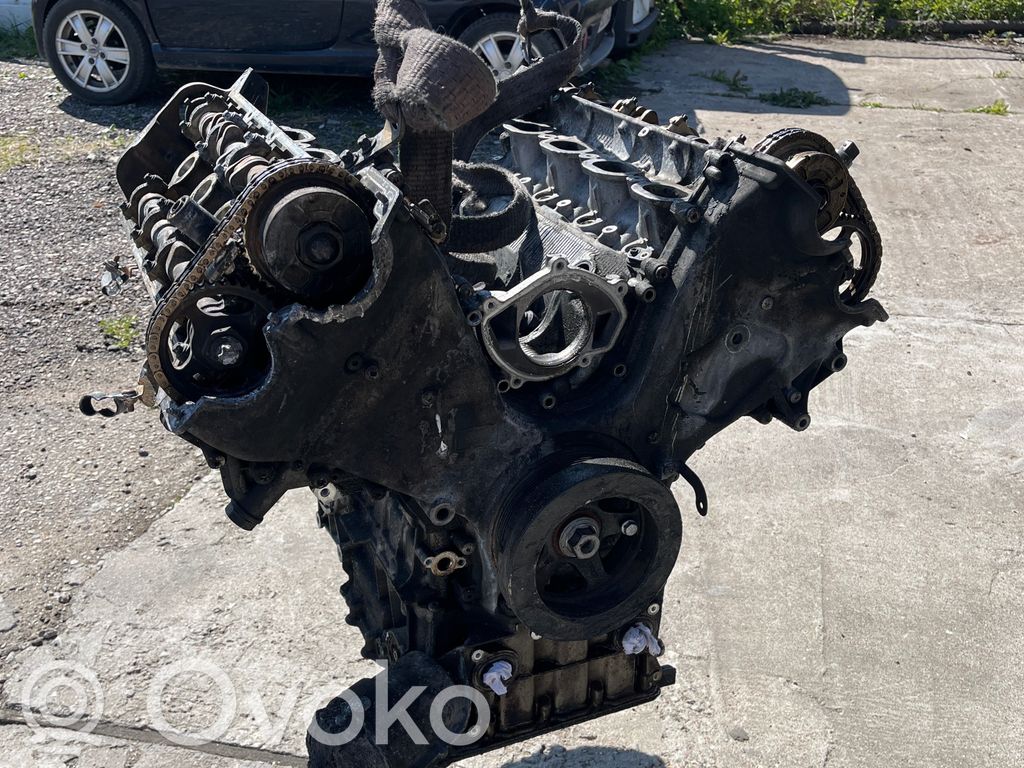 Porsche Panamera (970) Motor 