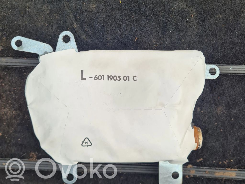 Airbag de la puerta delantera   6963021