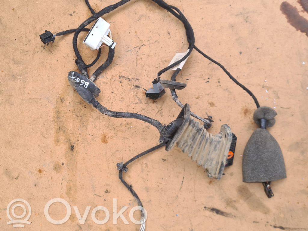 Volkswagen PASSAT B6 Wiązka przewodów drzwi tylnych 
