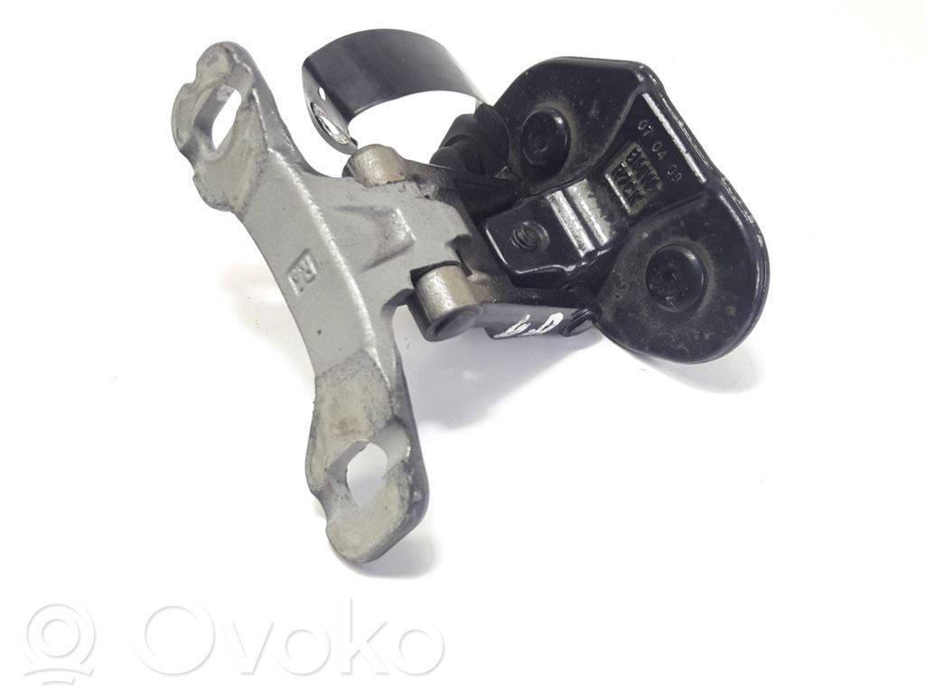 Tailgate/trunk/boot hinge   7060626