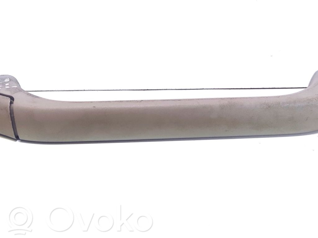 Front interior roof grab handle