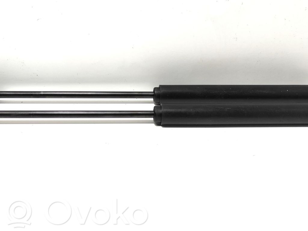 Tailgate/trunk strut/damper   9648388480
