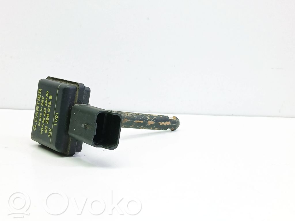 Citroen C5 Coolant level sensor 
