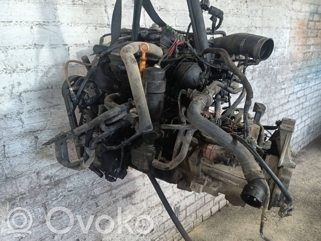 Motor