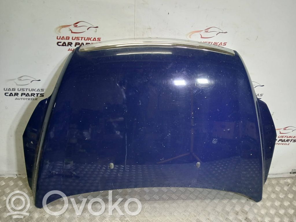 Ford Focus Vano motore/cofano 