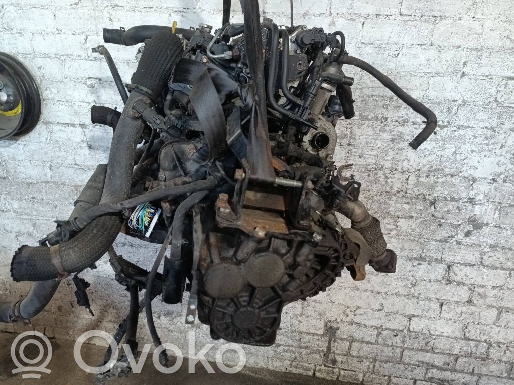 Motor