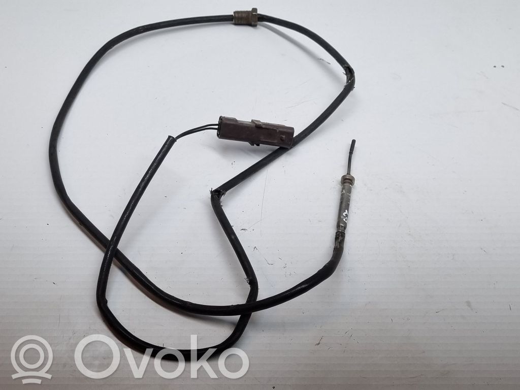 Peugeot 407 Izplūdes gāzu temperatūras sensors 