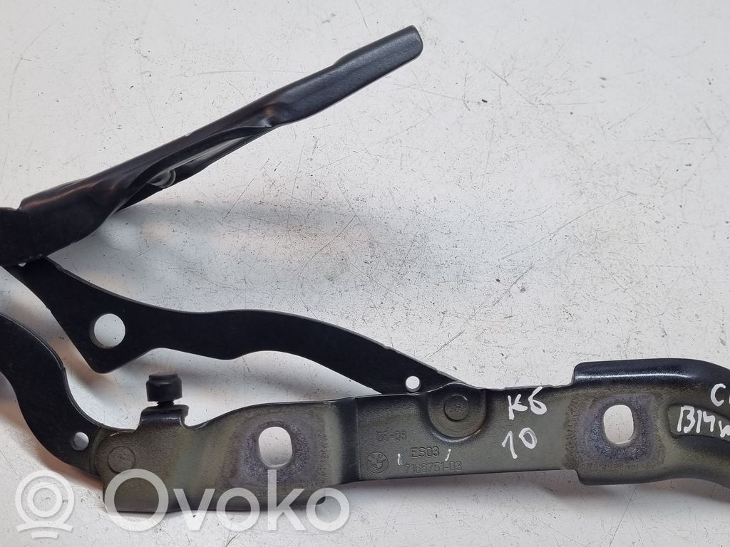 BMW 1 E81 E87 Tailgate/trunk/boot hinge 