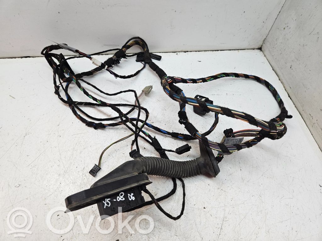 BMW X5 E70 Cableado de puerta trasera 