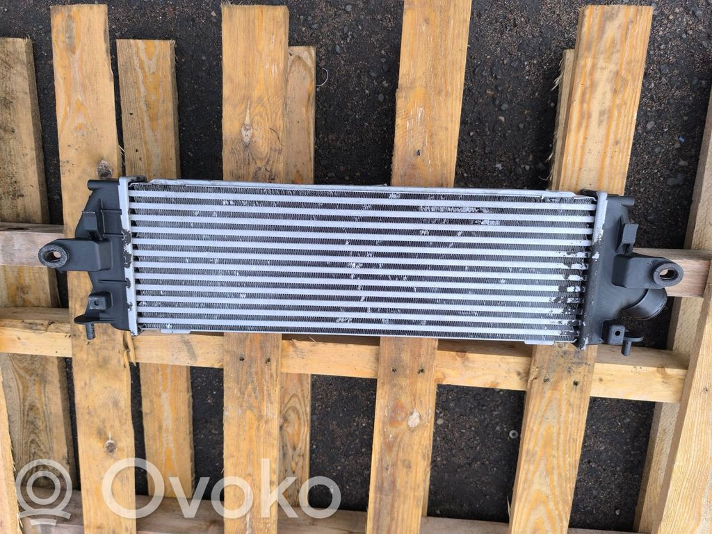 Interkūlerio radiatorius   992563JB,93854162,8200411160C