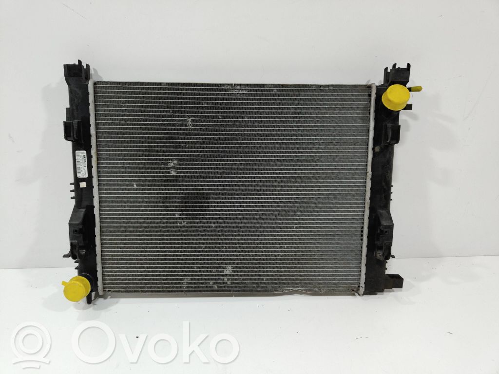 Renault Dacia Duster Aušinimo skysčio radiatorius 