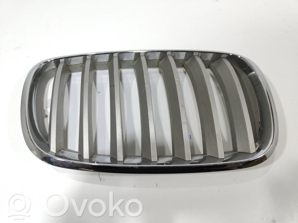 BMW X5 E70 Front bumper upper radiator grill 