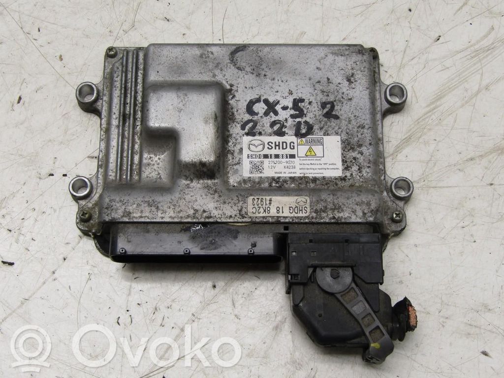 Engine control unit/module ECU   SHDG,SHDG,881
